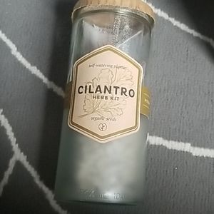 Anthropologie Self watering planter: Cilantro